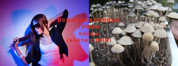 PSILOCYBIN Карпинск