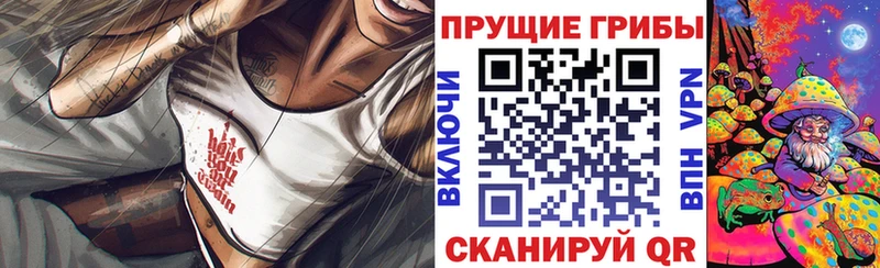 Галлюциногенные грибы Cubensis Арзамас