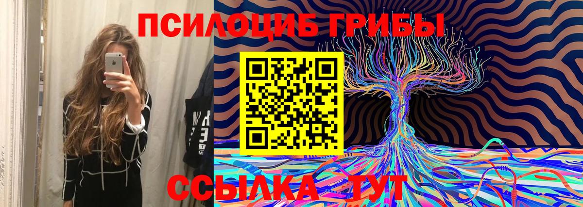 Арзамас  Галлюциногенные грибы MAGIC MUSHROOMS  Галлюциногенные грибы MAGIC MUSHROOMS  Вход с VPN 