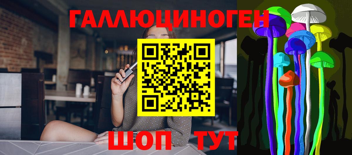 Галлюциногенные грибы Psilocybine cubensis Арзамас